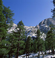 Home Page Image